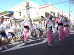 DSC_0464.jpg